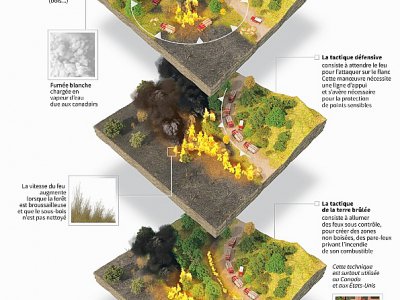 Combattre les feux de forêt - David LORY [AFP]