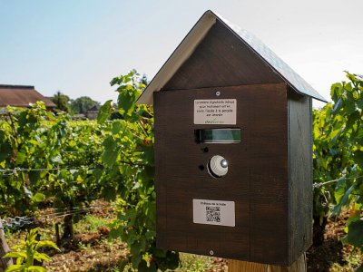 La "Notiphy Box" permet aux promeneurs et aux personnels de savoir qu'une parcelle de vigne vient d'être traitée aux pesticides, le 2 août 2018 à Mersault, en Bourgogne - ROMAIN LAFABREGUE [AFP]