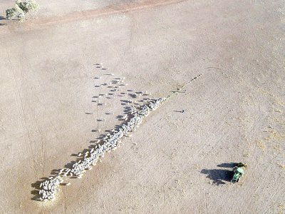 Vue aérienne d'un troupeau sur une terre asséchée le 7 août 2018 à Quirindi, en Nouvelle-Galles du Sud, Australie - GLENN NICHOLLS [AFP]