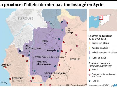 La province d'Idleb : dernier bastion insurgé en Syrie - Thomas SAINT-CRICQ [AFP]