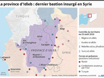 La province d'Idleb : dernier bastion insurgé en Syrie - Thomas SAINT-CRICQ [AFP]