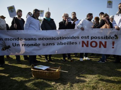 Rassemblement écologiste à Paris, le 15 mars 2016 - LIONEL BONAVENTURE [AFP/Archives]