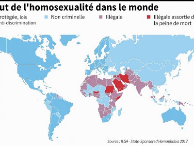 Statut de l'homosexualité dans le monde - John SAEKI [AFP]