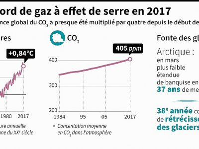 Niveau record des émissions de gaz à effet de serre en 2017 dans le monde - Simon MALFATTO [AFP]