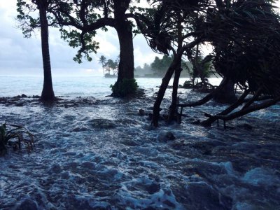 Effets combinés d'une tempête et de la marée haute, l'atoll de Majuro dans les îles Marshall est recouvert par les eaux le 3 mars 2014 - GIFF JOHNSON [AFP/Archives]