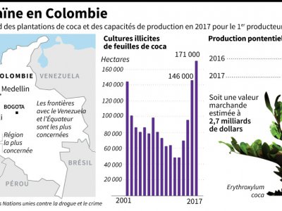Chiffres clés sur la culture des feuilles de coca et la capacité de production de cocaïne en Colombie selon l'ONUDC - [AFP]