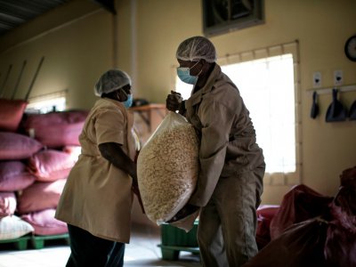 Des sacs de fruits de baobabs dans les locaux de l'entreprise the Eco Products à Louis Trichardt, le 27 août 2018 en Afrique du Sud - MARCO LONGARI [AFP]