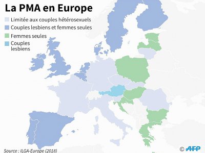 Carte d'Europe avec les différentes législations concernant l'accès à la procréation médicalement assistée - Laurence SAUBADU [AFP]