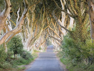La Voie royale de "Game of Thrones" en Irlande du Nord. - Athena Carey / Tourism Ireland