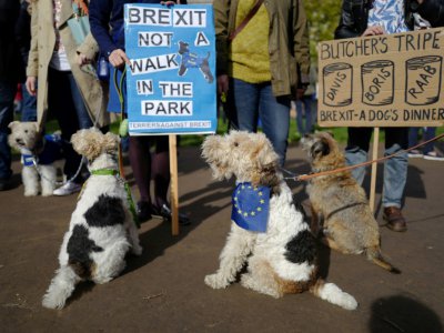 Manifestation contre le Brexit à Londres le 7 octobre 2018 de propriétaires de chiens avec leurs animaux favoris - Tolga AKMEN [AFP]