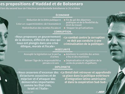 Principales propositions de Bolsonaro et Haddad - Nicolas RAMALLO [AFP]
