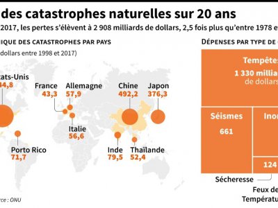 Le coût des catastrophes naturelles sur 20 ans - Selim CHTAYTI [AFP]