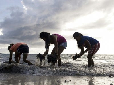 Des volontaires participent à une opération de nettoyage de la plage de Bulabog sur l'île de Boracay aux Philippines, le 26 avril 2018 - NOEL CELIS [AFP/Archives]
