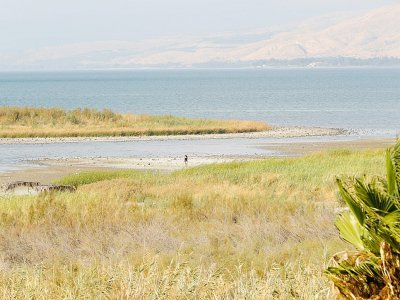 L'apparition d'une île sur le lac de Tibériade en Israël, vue de la berge d'Ein Gev, le 8 octobre 2018 - JACK GUEZ [AFP]