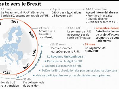 La route vers le Brexit - Gillian HANDYSIDE [AFP]