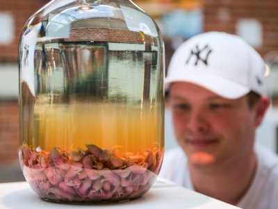 De l'alcool de souriceaux, une spécialité chinoise, exposé au "Musée de la nourriture dégoûtante" à Malmö en Suède - Jonathan NACKSTRAND [AFP]