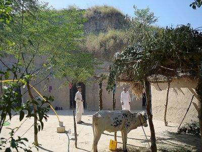 Dans le village de Hasan Abdal, les trois quarts des 4.000 habitants ont des logements troglodytiques, le 6 octobre 2018 au Pakistan - AAMIR QURESHI [AFP]