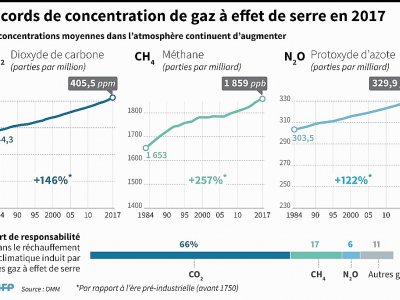 Records de concentration de gaz à effet de serre en 2017 - Simon MALFATTO, Paz PIZARRO [AFP]
