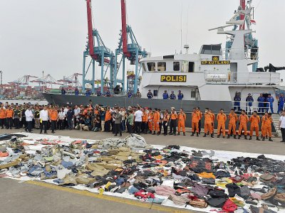 Des débris récupérés en mer sur le site du crash du Boeing de Lion Air exposés sur un quai de Jakarta, le 30 octobre 2018 en Indonésie - ADEK BERRY [AFP/Archives]