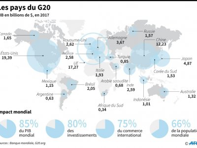Les pays du G20 - Vincent LEFAI [AFP]