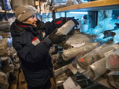 Des études sur le permafrost sont menées dans un laboratoire de l'Institut Melnikov à Iakoutsk, le 26 novembre 2018 - Mladen ANTONOV [AFP/Archives]
