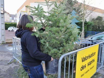 Comme l'an passé, 35 points de collecte pour le recyclage de sapins seront installés
à Caen, dès le lendemain de Noël. - Ville de Caen / F. Decaëns