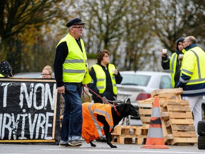 "Nous voulons vivre et non survivre" dit la pancarte des 'Gilets Jaunes', à Torce près de Rennes le 2 décembre 2018 - Jean-François MONIER [AFP/Archives]