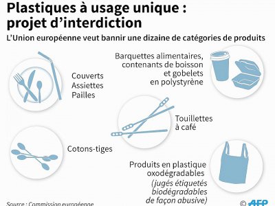 Plastiques à usage unique : projet d'interdiction - Simon MALFATTO [AFP]