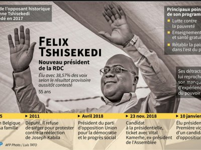 Félix Tshisekedi - Juliette VILROBE [AFP]