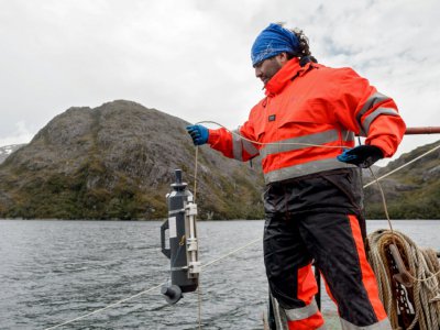 Le biologiste marin Marco Pinto effectue des mesures dans les eaux de Seno Ballena, à Punta Arenas, le 7 décembre 2018 - Martin BERNETTI [AFP]