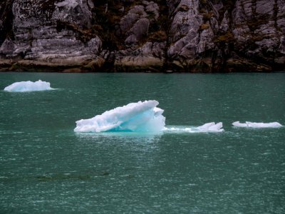 Des icebergs flottent dans les eaux du fjord Seno Ballena, le 7 décembre 2018 - Martin BERNETTI [AFP]