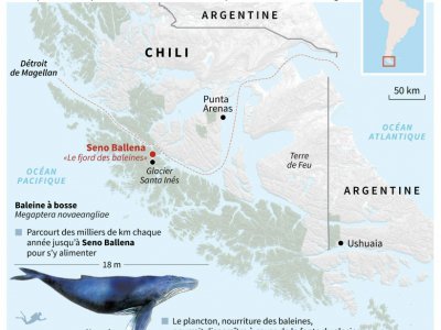 Las eaux de la Patagonie chilienne - Nicolas RAMALLO [AFP]
