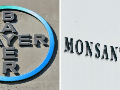 Le géant allemand a dû débourser 63 milliards de dollars pour acquérir Monsanto - Patrik STOLLARZ, John THYS [AFP/Archives]