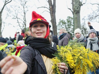 Une manifestante "gilet jaune" offre des brins de mimosa, samedi 19 janvier 2019 à Paris - Zakaria ABDELKAFI [AFP]