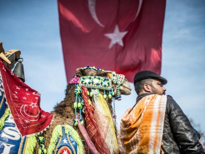 Un chameau entre dans l'arène pour combattre à Selcuk, le 19 janvier 2019 en Turquie - BULENT KILIC [AFP]