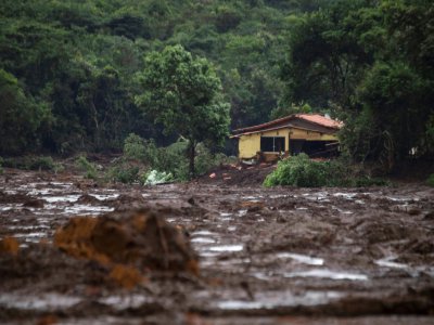Une zone recouverte de boue après la rupture d'un barrage près de Brumadinho au Brésil, le 26 janvier 2019 - Mauro Pimentel [AFP]