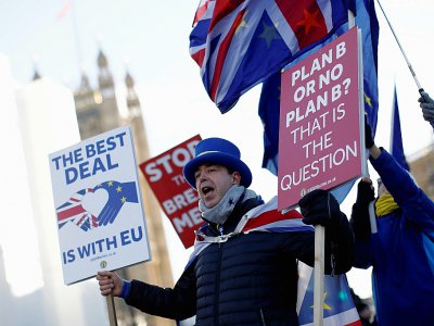Un militant anti-Brexit manifeste près du Parlement, à Londres le 28 janvier 2019 - Tolga AKMEN [AFP]