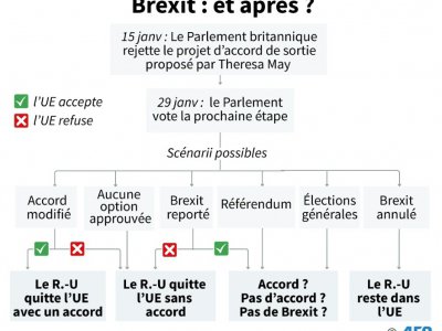 Brexit : et après ? - Gillian HANDYSIDE [AFP]
