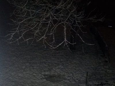 4 cm de neige à Caligny (Orne) - Flo