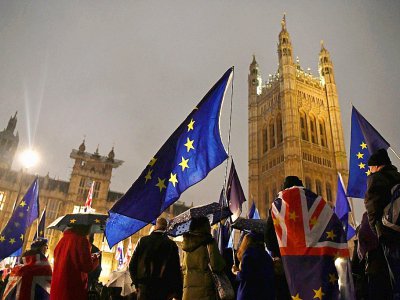 Des opposants au Brexit manifestent à Londres le 29 janvier 2019 - Ben STANSALL [AFP]