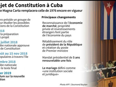Le projet de Constitution à Cuba - Nicolas RAMALLO [AFP]