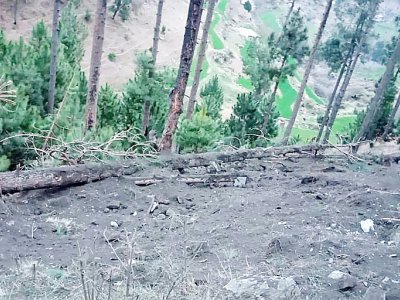 Photo transmise par les autorités pakistanaises le 26 février 2019 des dommages causés aux arbres et au terrain après une frappe de l'armée de l'air indienne à Balakot - HANDOUT [ISPR/AFP]