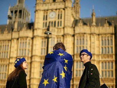 Des manifestants devant le Parlement britannique, le 26 février 2019 à Londres - Daniel LEAL-OLIVAS [AFP]