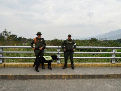 Des policiers colombiens montent la garde sur le pont Simon Bolivar reliant la Colombie au Venezuela, le 28 février 2019 - Luis ROBAYO [AFP]