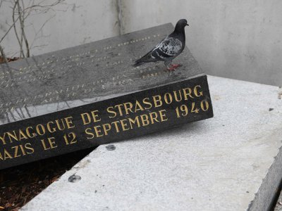 La stèle marquant l'emplacement de l'ancienne synagogue de Strasbourg a été vandalisée le 2 mars 2019 - FREDERICK FLORIN [AFP]