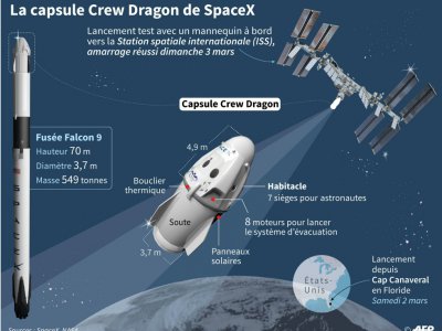La capsule Crew Dragon de SpaceX - [AFP]