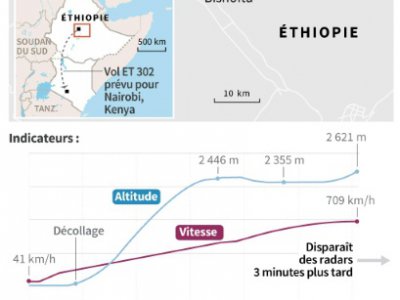Le crash d'Ethiopian Airlines - [AFP]