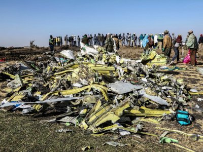 Les débris collectés après le  crash d'un avion d'Ethiopian Airlines le 10 mars 2019 près de  Bishoftu, à 60 km au sud-est d'Addis Abeba, photographiés le 11 mars 2019 - Michael TEWELDE [AFP]