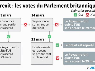 Brexit : les votes du Parlement britannique - Gal ROMA [AFP]