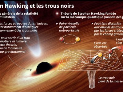 Stephen Hawking et les trous noirs - Alain BOMMENEL [AFP]